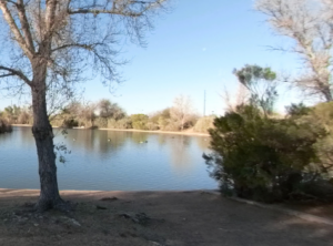 Red Mountain Park Mesa AZ